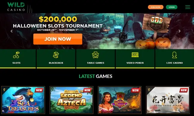 wild fortunce casino bonuses